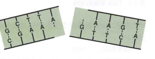 16880869054921.png 16880869054921.png