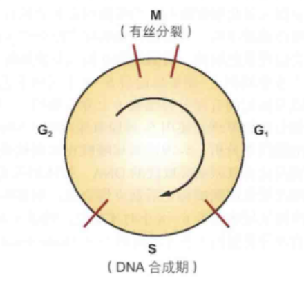 16880876973839.png 16880876973839.png