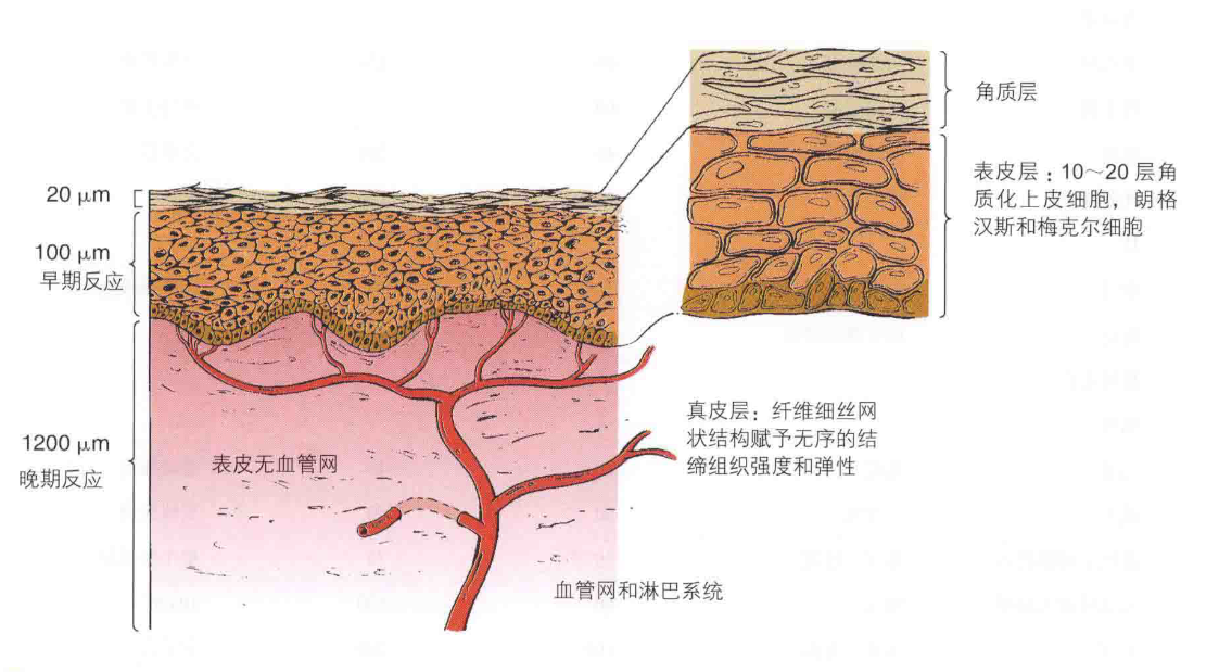 16880879328720.png 16880879328720.png