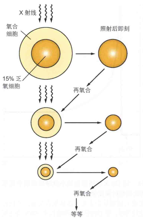 16880879636821.png 16880879636821.png