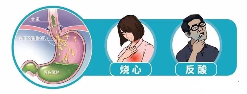 16909602218212.png 16909602218212.png