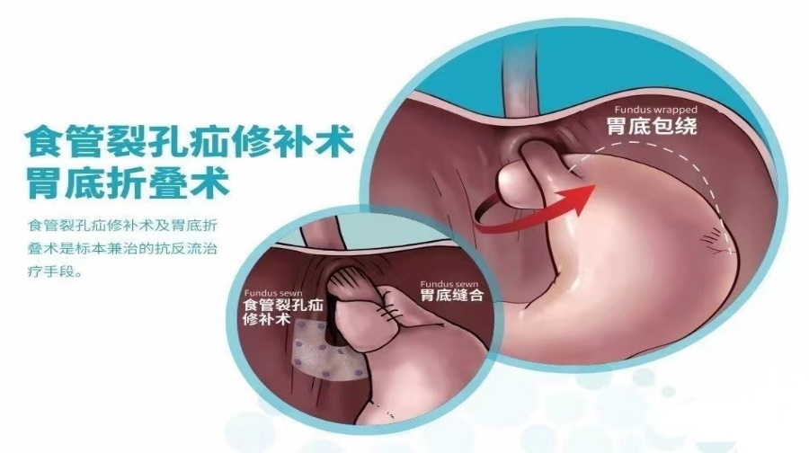 16909602646288.png 16909602646288.png