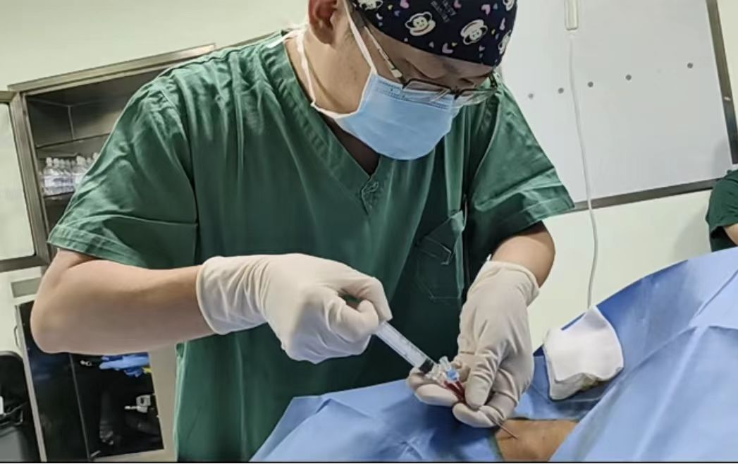 16909609478789.png 16909609478789.png