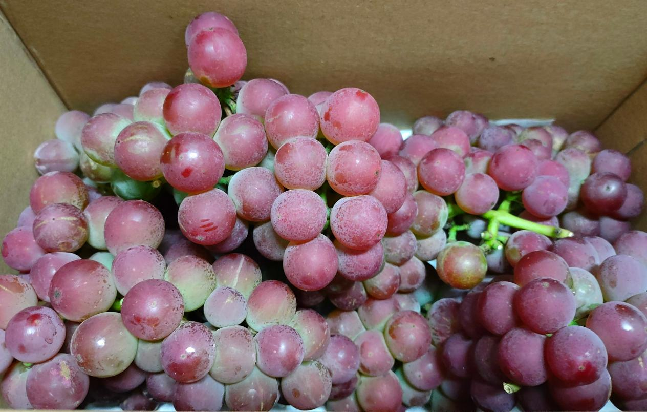 16921480303646.png 16921480303646.png