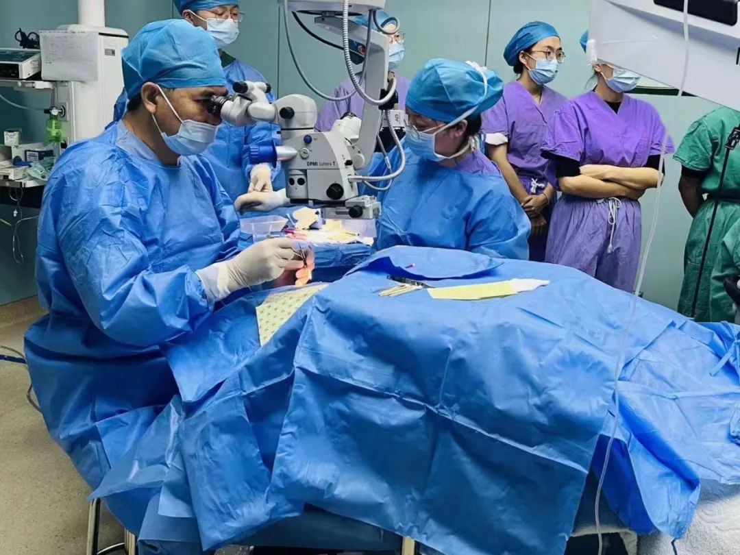 16953546274785.jpg 16953546274785.jpg