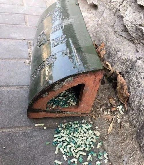 16969058362737.png 16969058362737.png