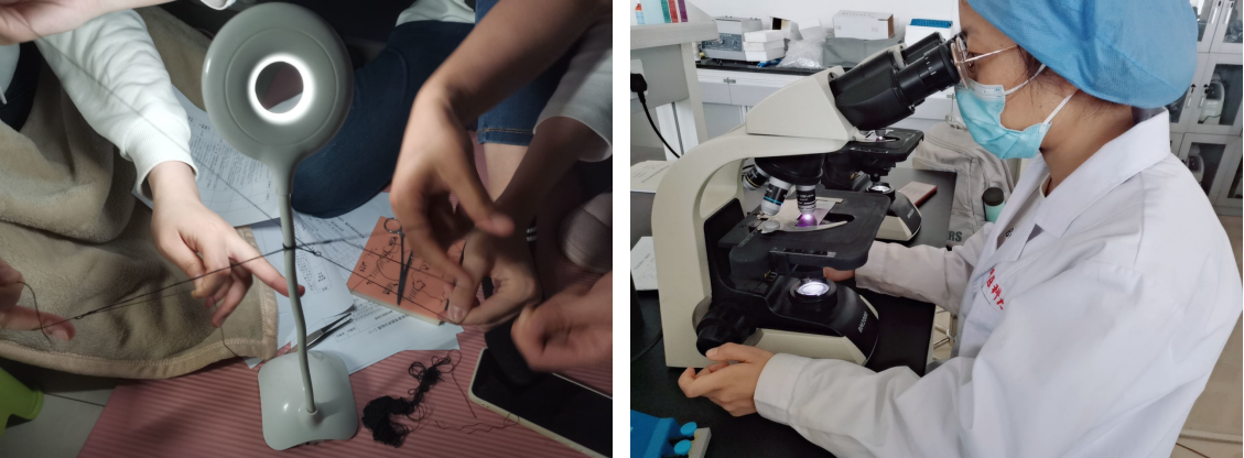 16969908348470.png 16969908348470.png