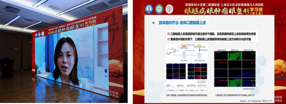 16981170435709.png 16981170435709.png