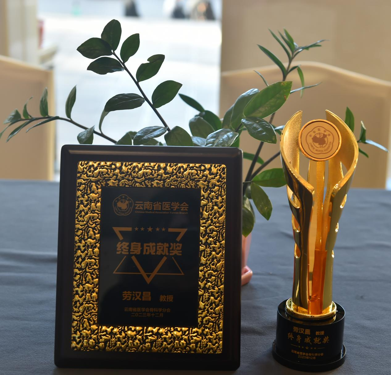 17025399956195.png 17025399956195.png