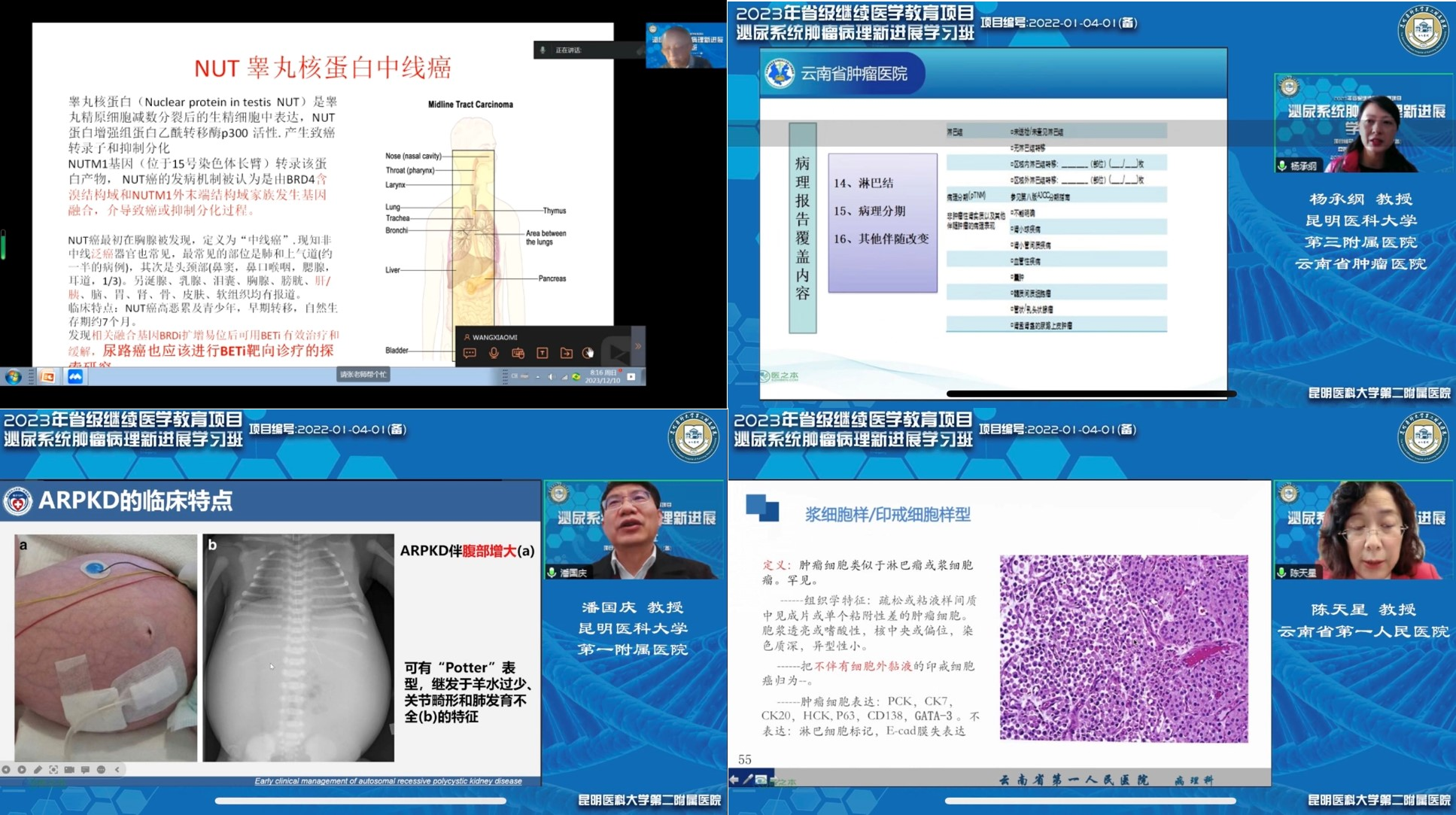 17032055441434.png 17032055441434.png