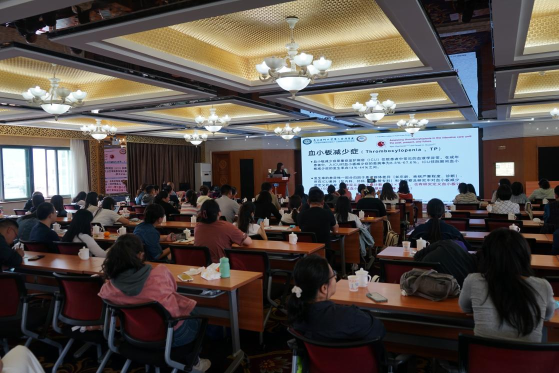 17173826218108.png 17173826218108.png