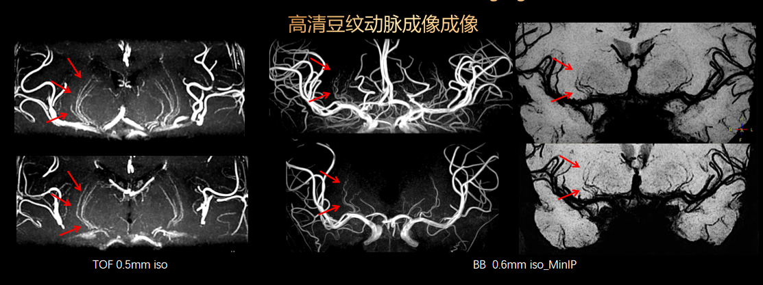 17217024613919.png 17217024613919.png