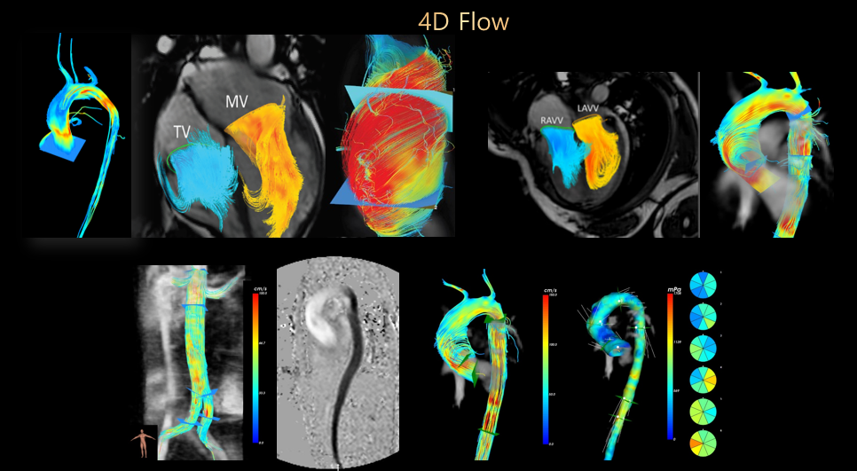 17217025466922.png 17217025466922.png