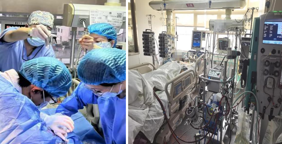 17219589099091.png 17219589099091.png