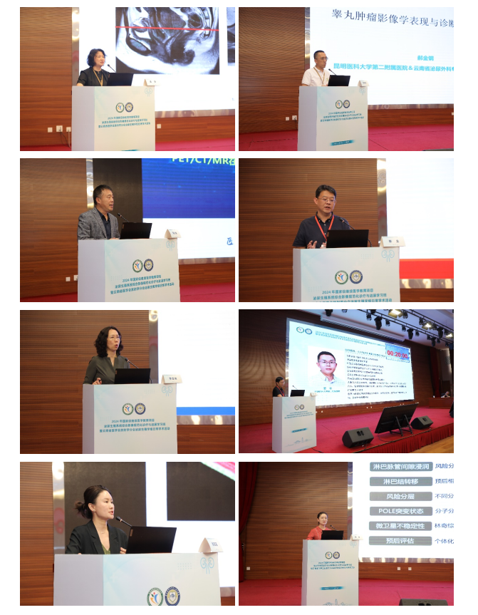 17242907072571.png 17242907072571.png