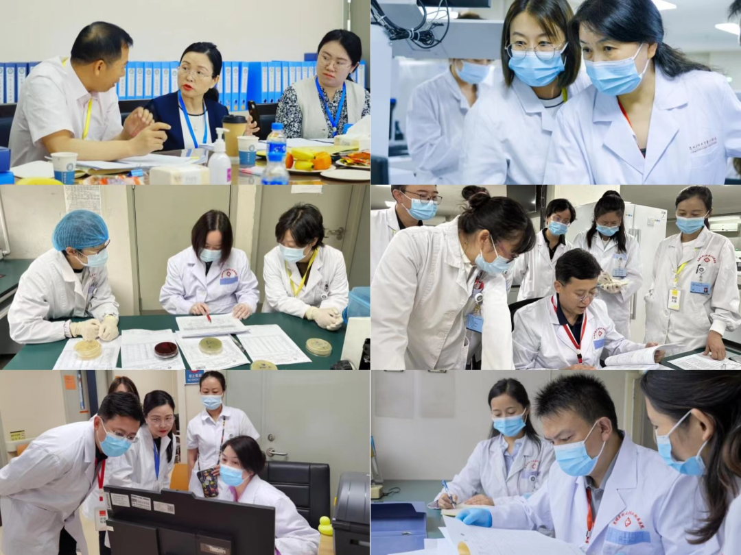 17255020751615.png 17255020751615.png