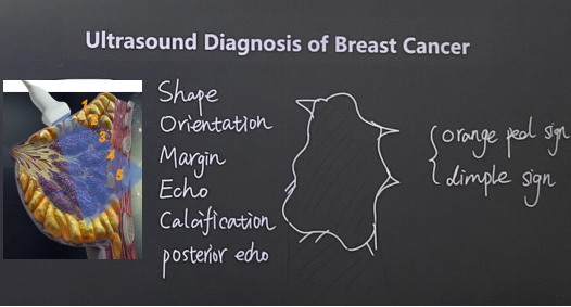 17255832973965.png 17255832973965.png