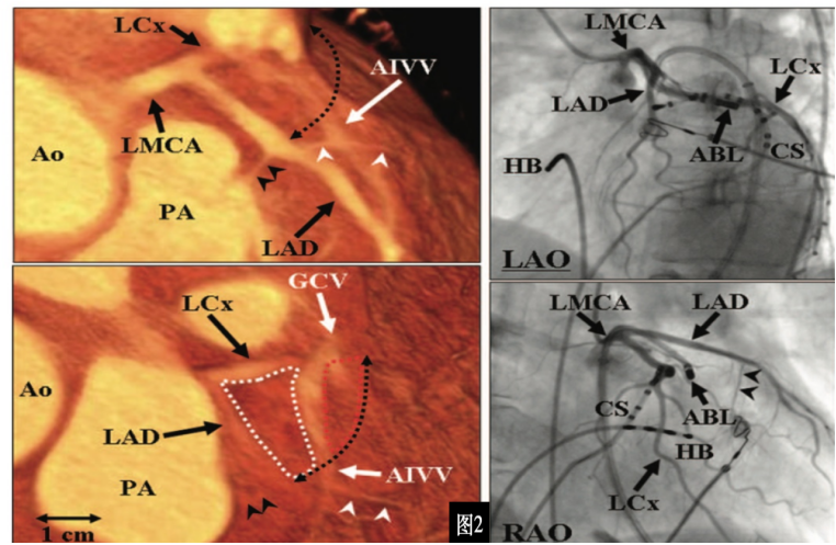 17275716227864.png 17275716227864.png