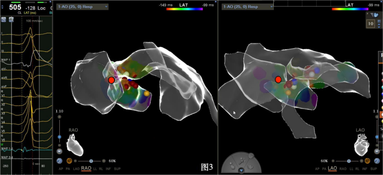 17275716549202.png 17275716549202.png