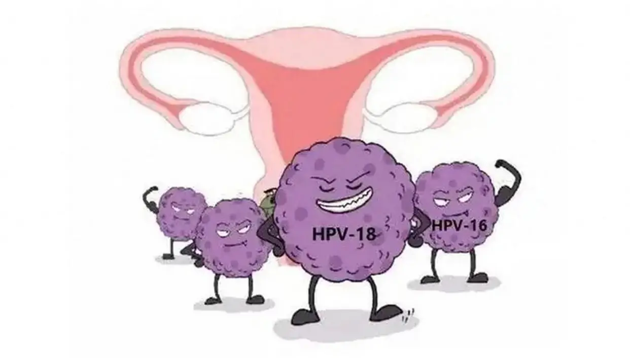 17324978818777.png 17324978818777.png