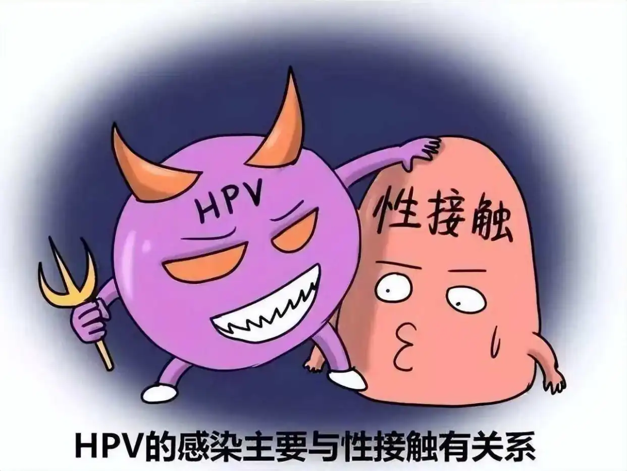 17324979472597.png 17324979472597.png