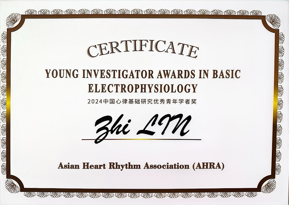 17404481827486.png 17404481827486.png