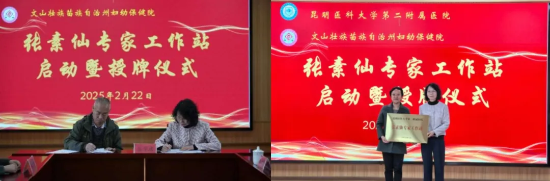 17406265683166.png 17406265683166.png