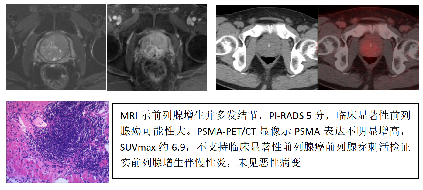 17407037472921.png 17407037472921.png