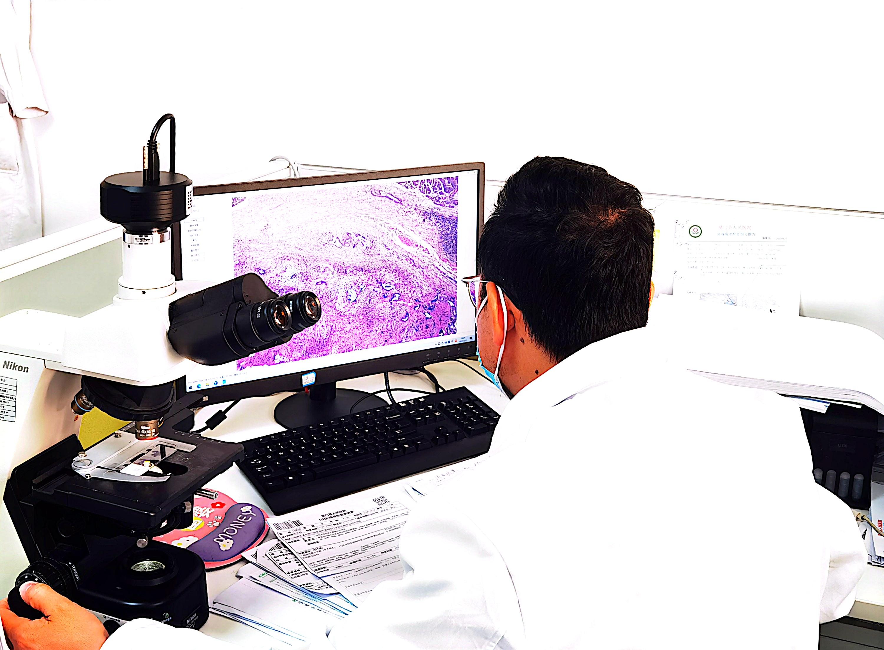 17421717002274.png 17421717002274.png