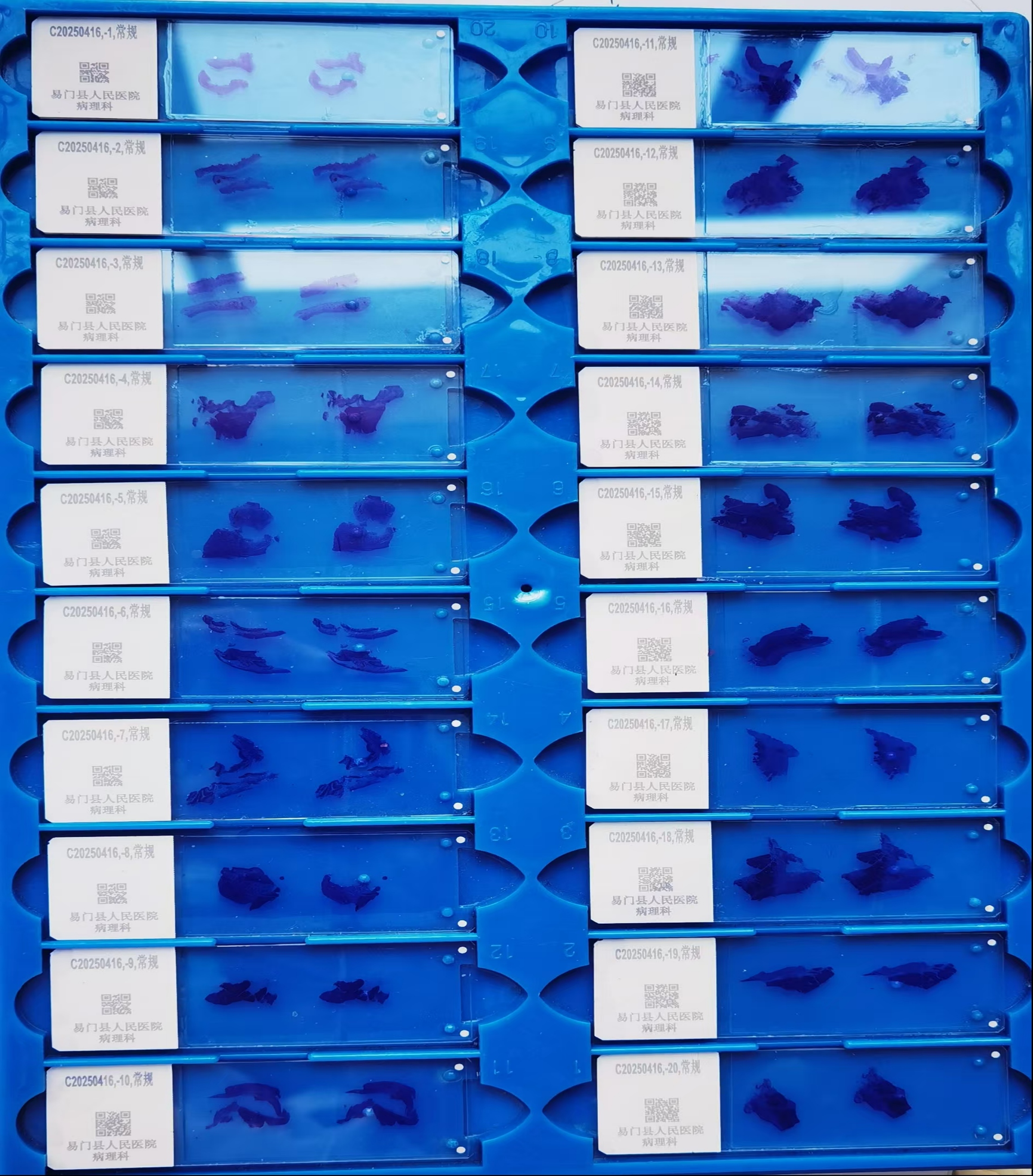 17421717838006.jpg 17421717838006.jpg