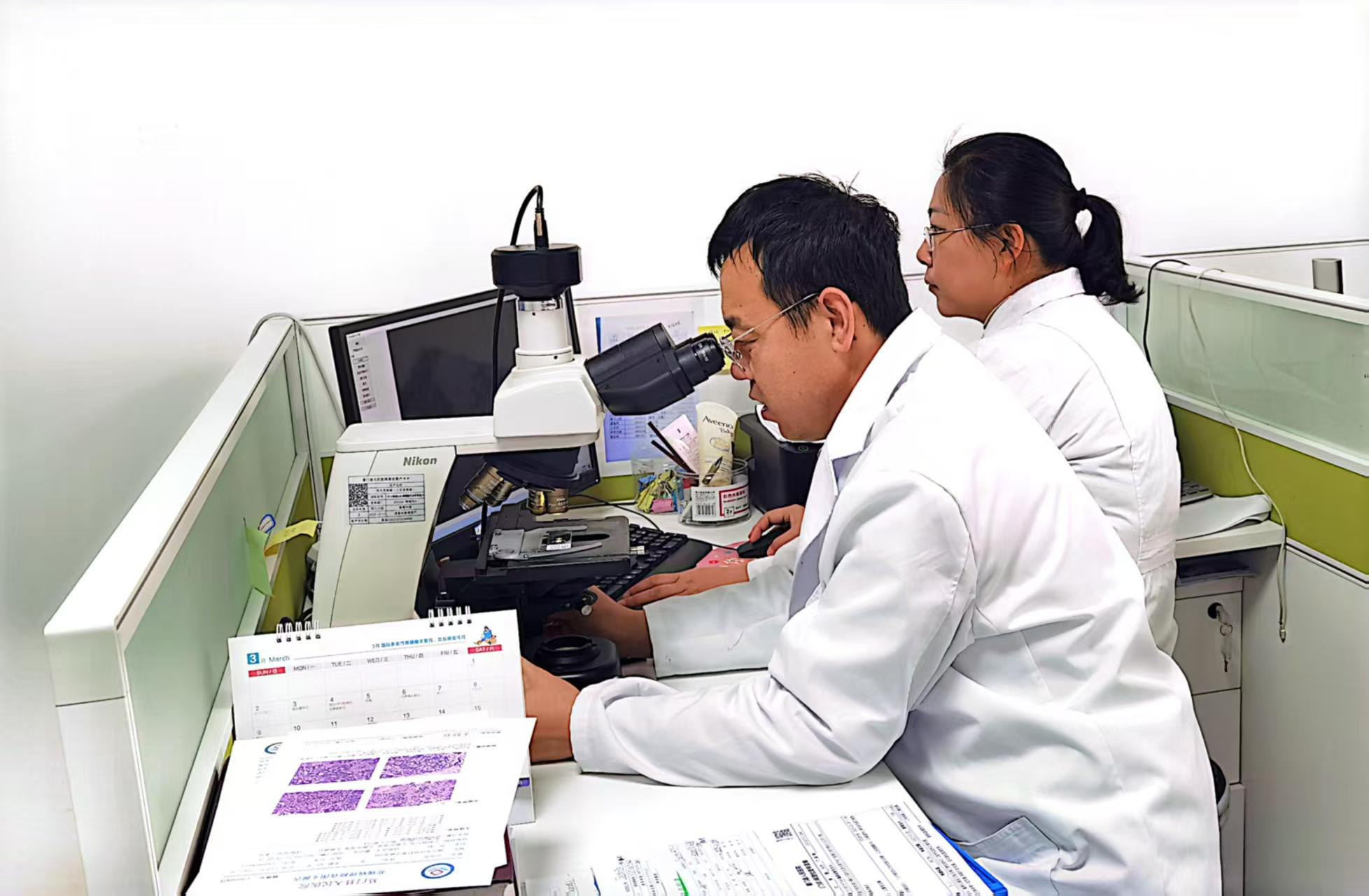 17430351367241.png 17430351367241.png