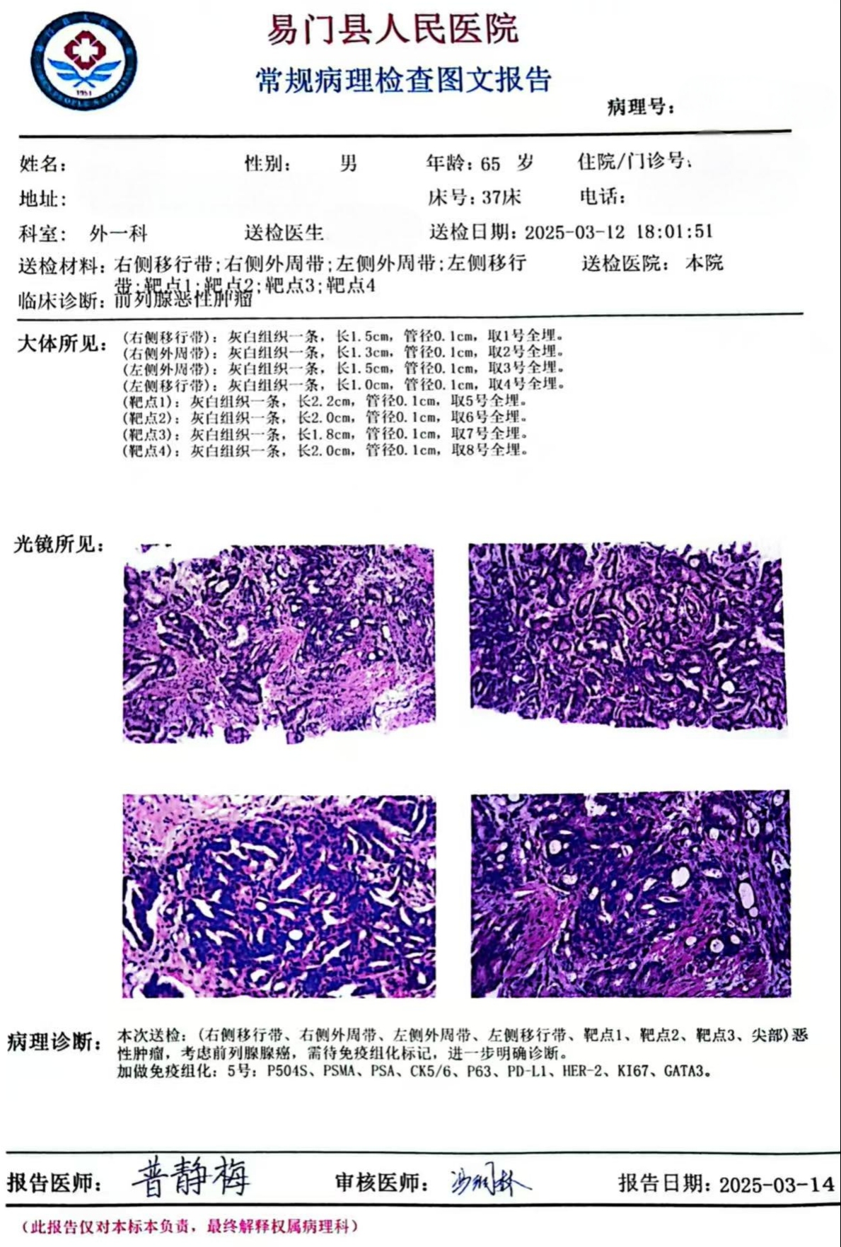 17430351705089.jpg 17430351705089.jpg