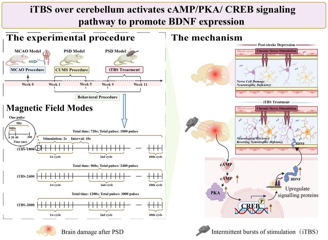 17436454629708.png 17436454629708.png