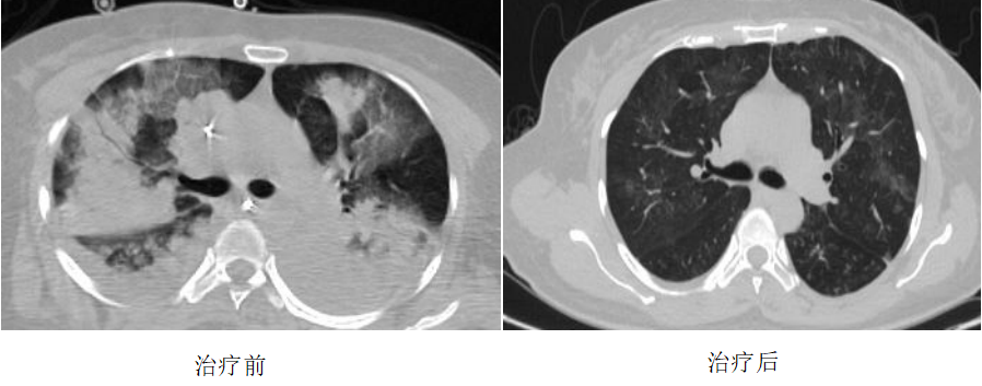 17445954162706.png 17445954162706.png