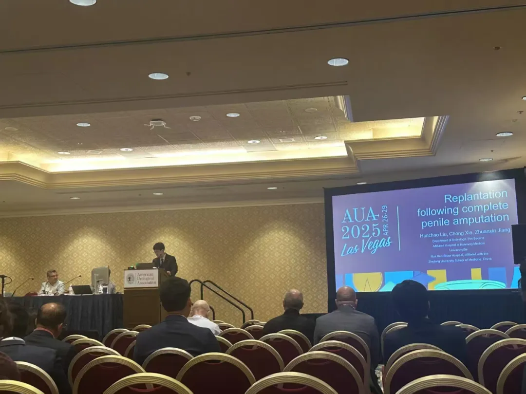 17465151093074.png 17465151093074.png