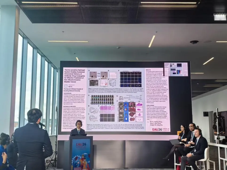 17742313005024.png 17742313005024.png